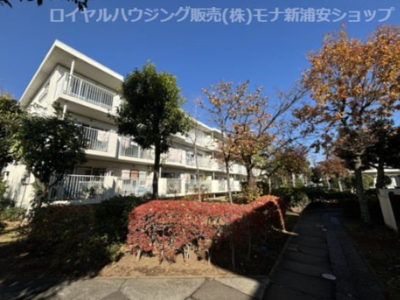 入船北エステート35号棟の画像