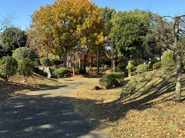 の-の画像