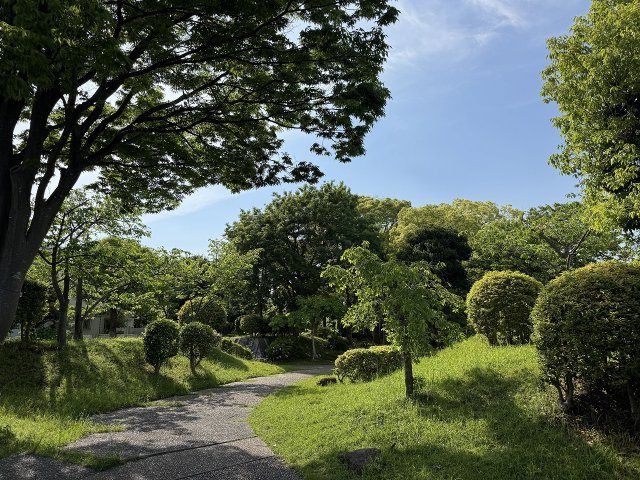 の-の画像