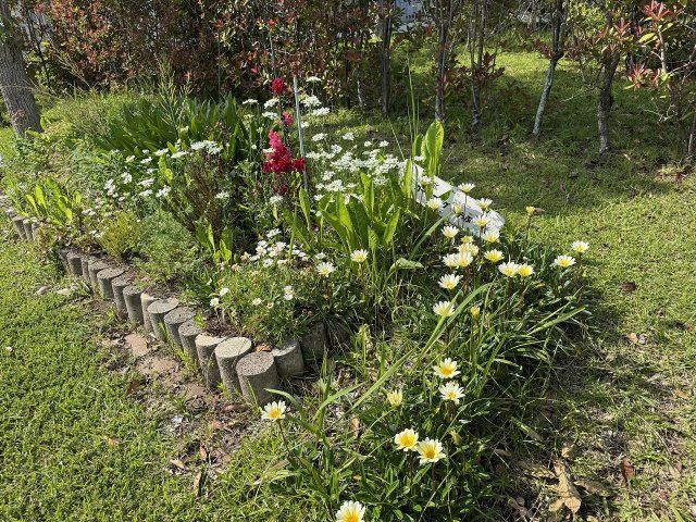 敷地内は四季折々の草花が目を楽しませてくれます