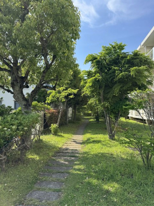 低層住居専用地域ならではの街並み