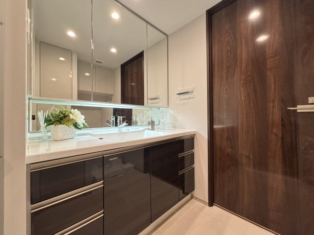 シティタワーズ東京ベイセントラルタワーの独立洗面台