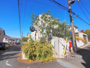 大田区田園調布5丁目の画像