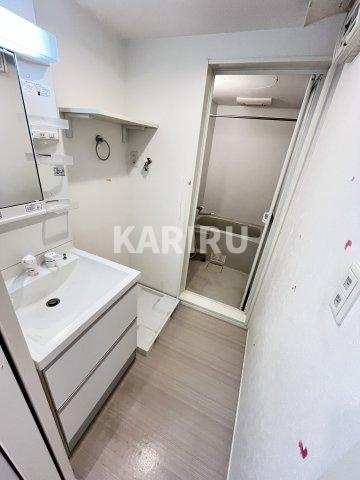 ハーモニーテラス中本の洗面所