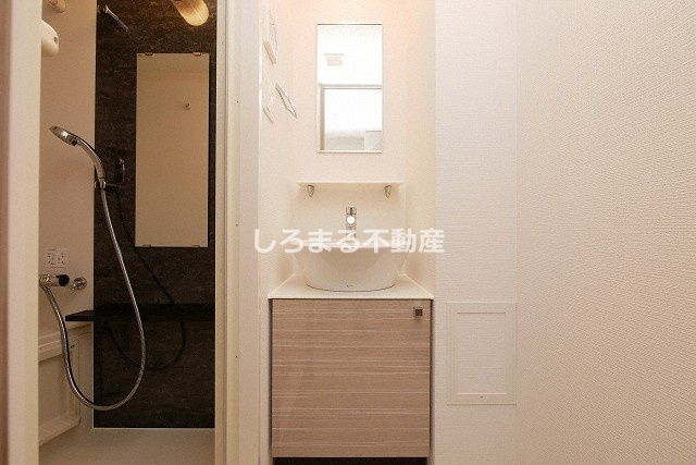 エスリードレジデンス大阪難波の洗面所