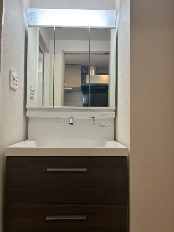 ROOTs Shinjuku Wakamatsucho(ルーツシンジュクワカマツチョウ)の洗面所