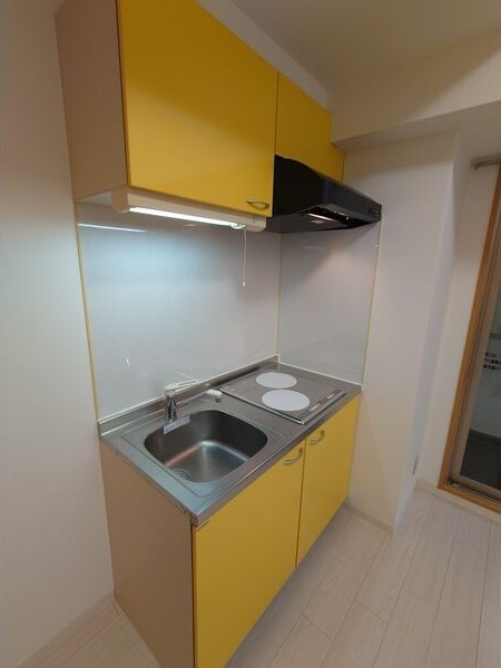 ラ・ルーシュ泉のキッチン