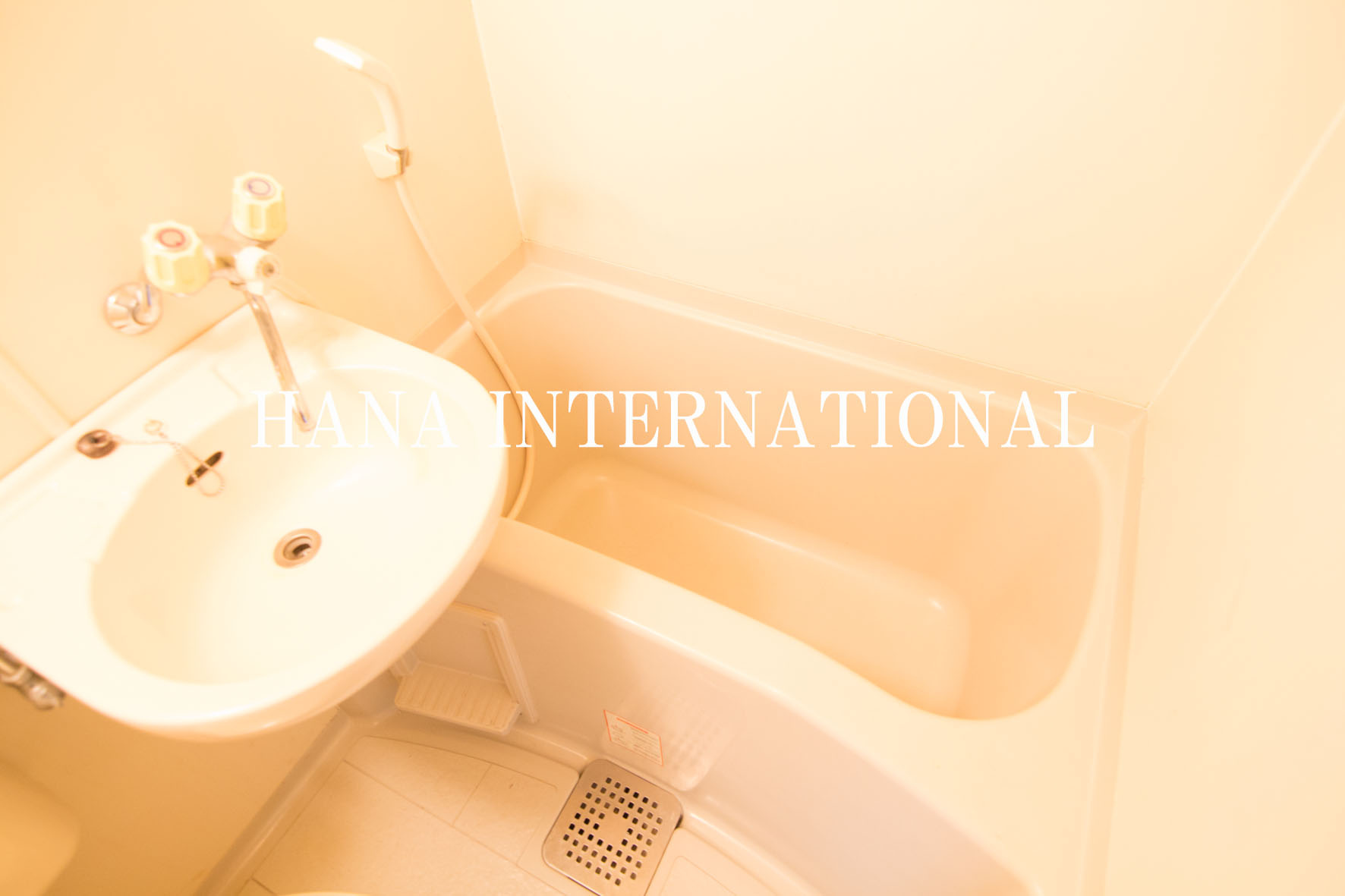 エステート富士見の浴室