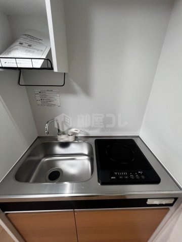 Schatz　Quelle　Kouenjikita