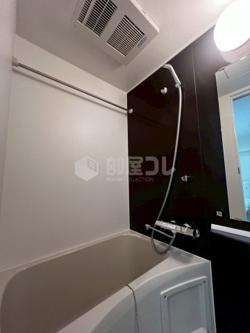 Schatz　Quelle　Kouenjikita