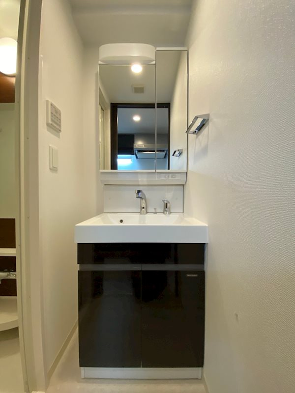 エステムコート神戸元町Ⅱブリーズの洗面所