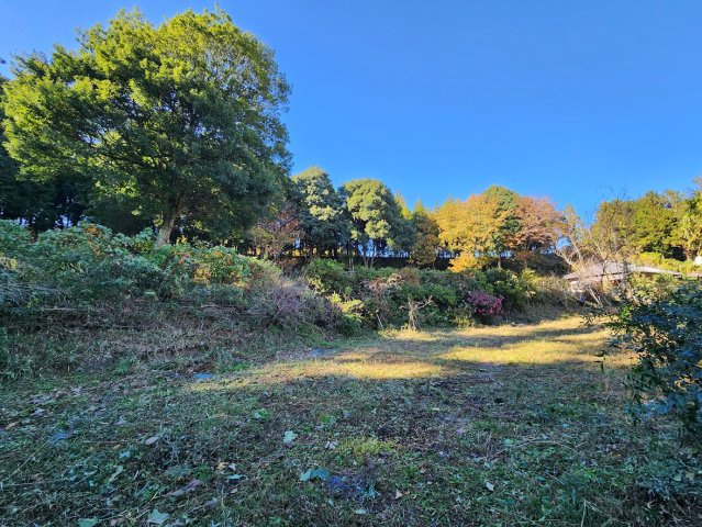 【庭】の画像