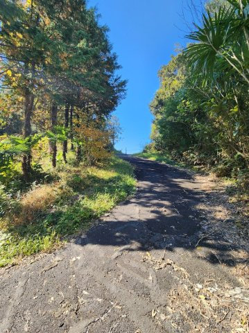 【エントランス】の画像