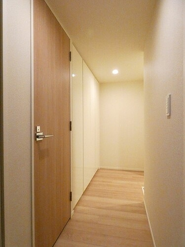 葛飾区新宿６丁目の賃貸マンションのその他|廊下　内装済