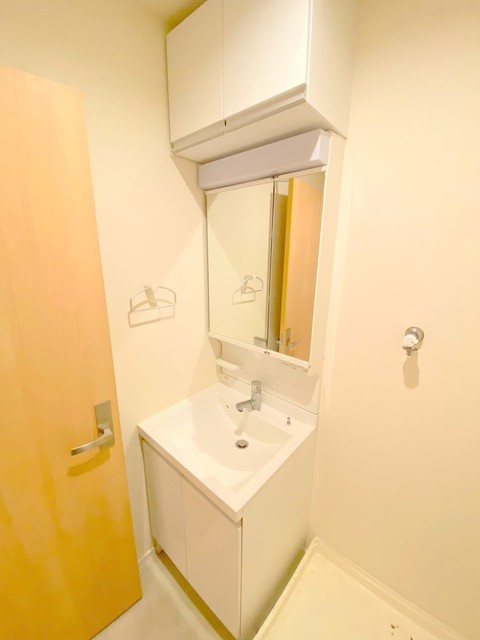 ジュヌセードルAの洗面所