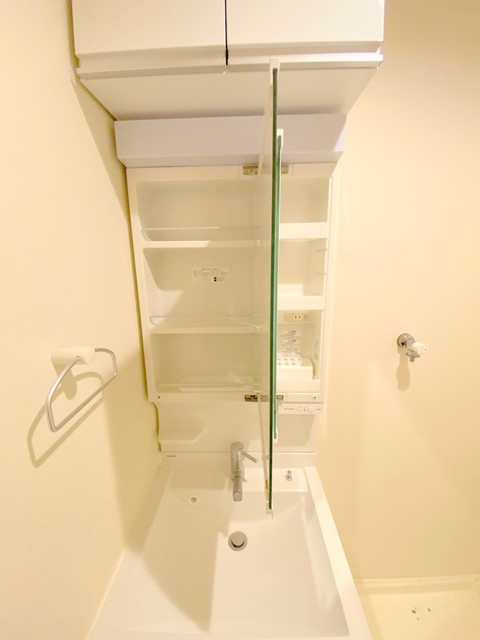 ジュヌセードルAの洗面所