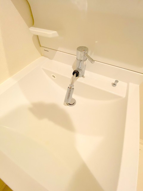 ジュヌセードルAの洗面所