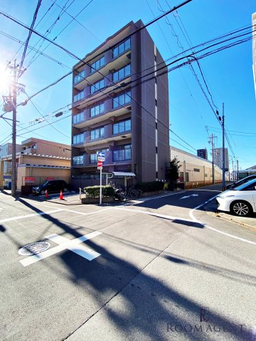 オンディーヌ花の木