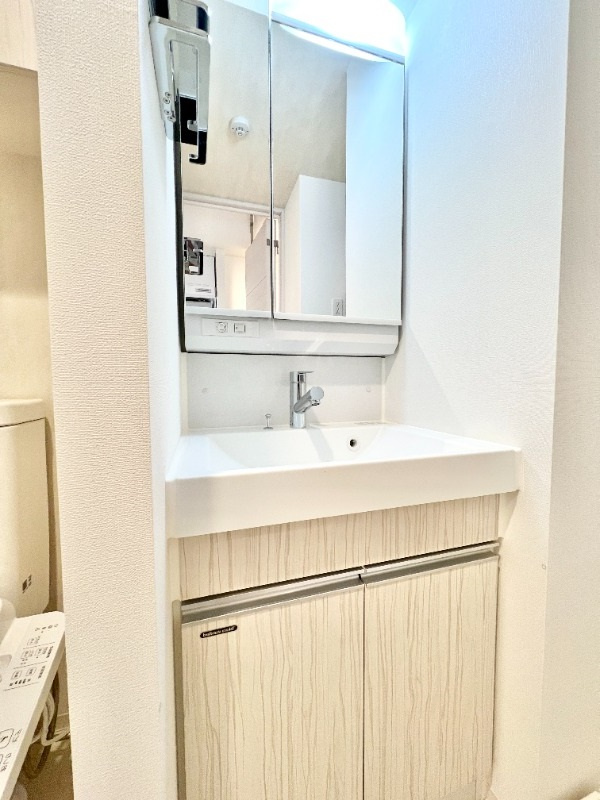 REALIZE蒲田Ⅱの洗面所