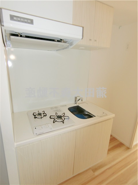 REALIZE蒲田Ⅱのキッチン|2口ガスシステムキッチン