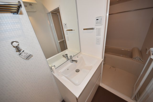 レイオス谷町の洗面所