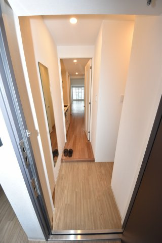 レイオス谷町の玄関