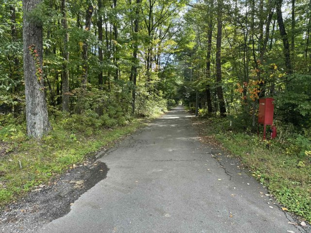 北軽井沢　住宅用地の前面道路含む現地写真
