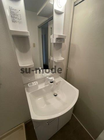 メゾンドール1の洗面所