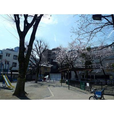 【周辺】 | パークキューブ代々木富ヶ谷