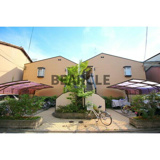 シルキーの画像