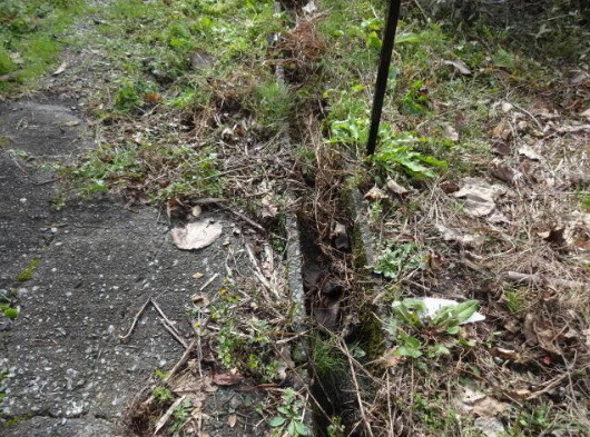 【その他】の画像