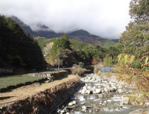 【その他】の画像