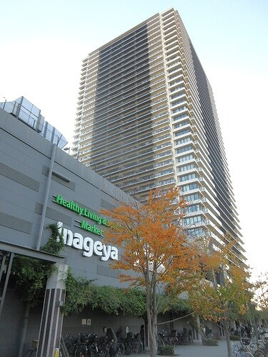 シティタワー金町　タワー棟