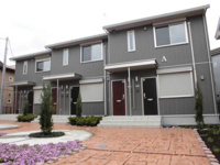 ルピナス Aの画像