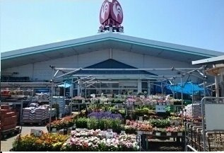 【周辺】 | アークヒルズ知手Ｄ | コメリまで1800m