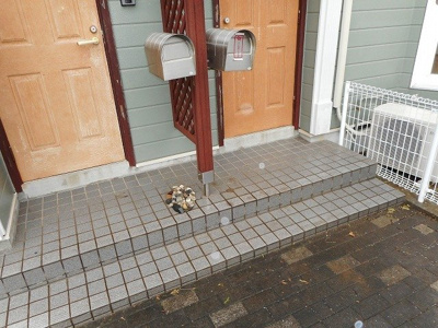 【エントランス】 | サンヴェールⅠ | 落ち着いたエントランスです