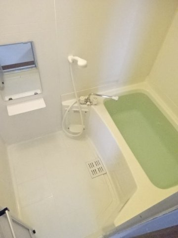 ディスカバリーⅡの浴室|お風呂で日々の疲れを落としましょう