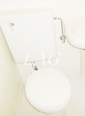 【トイレ】 | メゾン・ド・パナシェ | トイレです。