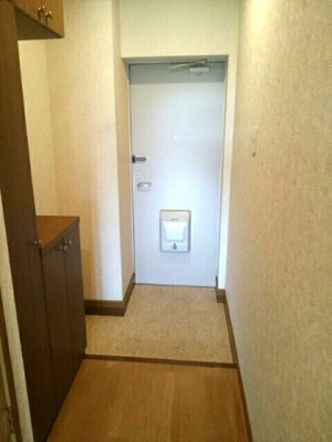 【その他】 | アムール