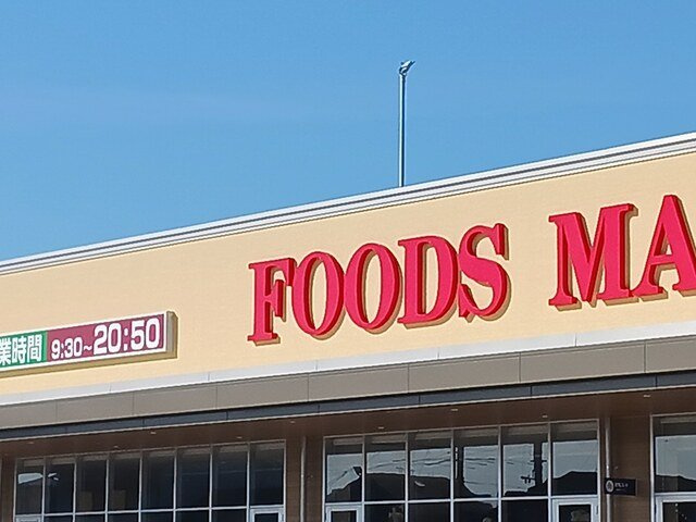 ヒカルサ富田林桜井町の周辺|コープ富田林店様まで1052m