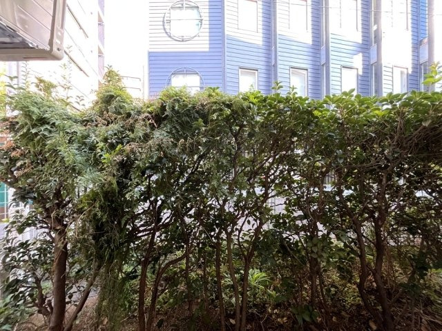 トップ本郷の展望