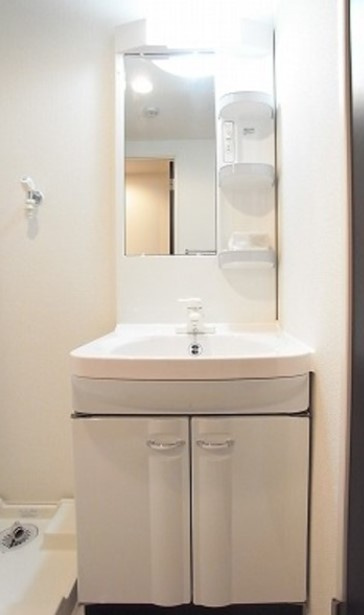 リブリ・アイレクスの洗面所