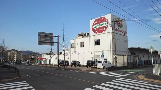 【周辺】 | リス　プランタンＡ | レッドキャベツまで700m