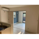 【その他】 | サザンクロス