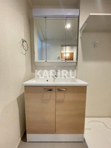 ハーモニーテラスRen相川の洗面所