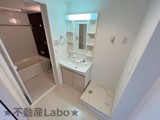 ルナキャットの洗面所