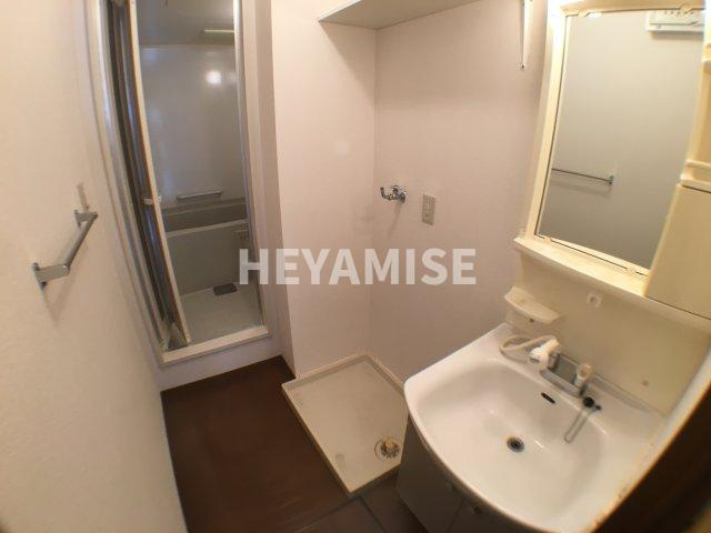 フローラ中里の洗面所