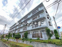 エーデルワイスの画像