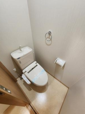 ハイツ竹上のトイレ