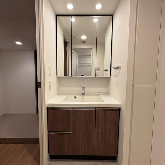 パークアクシス品川天王洲アイルの洗面所